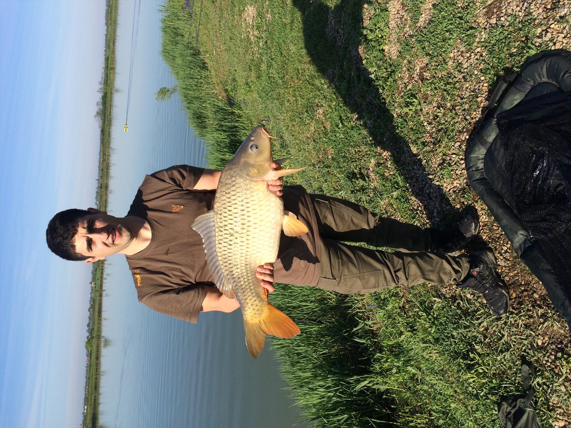 Balta mobydick dorlot - image111111111.jpg